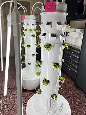 image-990567-2023_grow_tower_2_units-c20ad.jpg